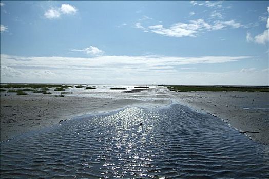 风景,水