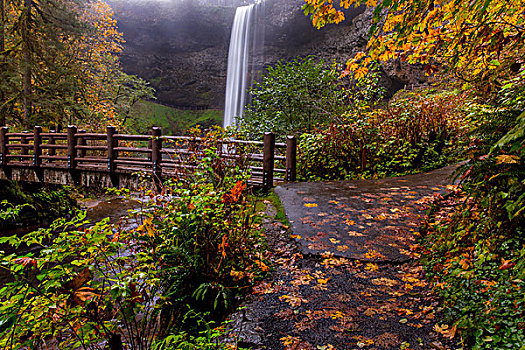 南,瀑布,秋天,银色瀑布州立公园,靠近,希威尔顿,俄勒冈,美国