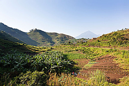 风景,区域,人口稠密,灭绝,火山,梯田,农事,背景,大猩猩,国家公园,上升,天空,非洲