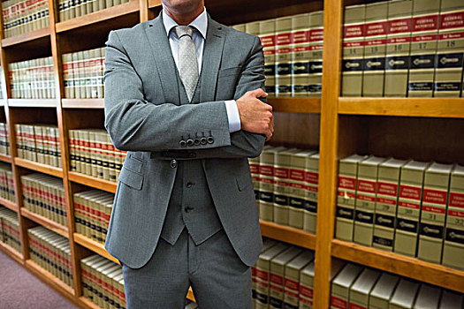 律师,站立,法律,图书馆
