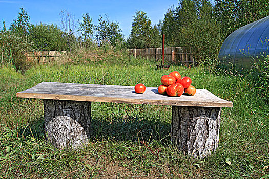 成熟,西红柿,木制长椅