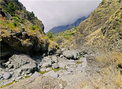 火山口,国家公园,帕尔玛