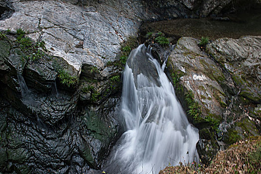 中国第一富硒村-安徽省石台县仙寓山大山村