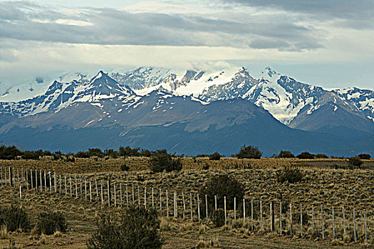 土地,山峦,背景,潘帕斯草原,阿根廷