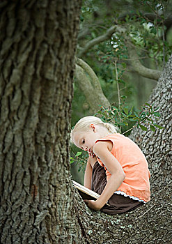 女孩,树上,读