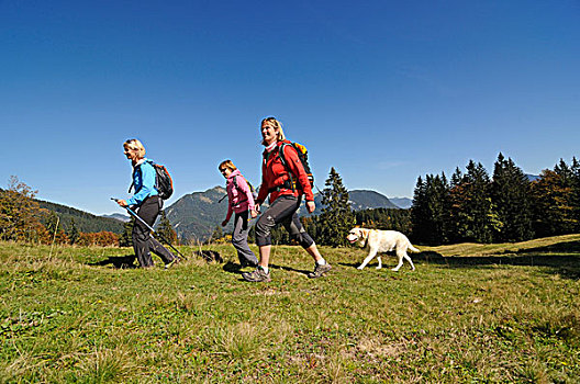 女性,远足者,狗,高山,贝希特斯加登阿尔卑斯山,背影,巴伐利亚,德国,欧洲