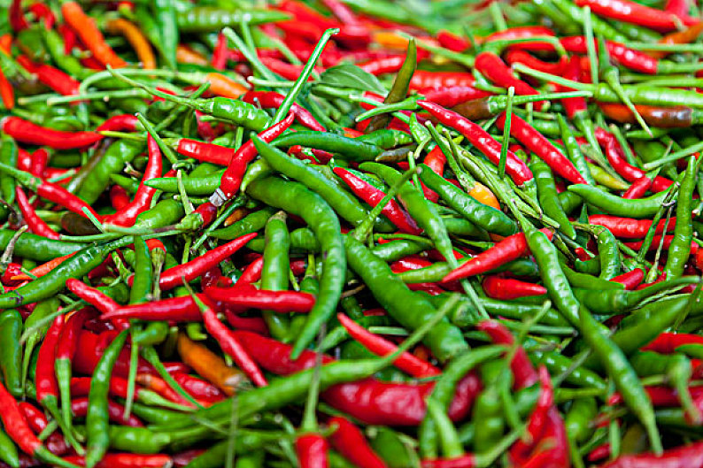 辣椒图片_辣椒高清图片_全景视觉