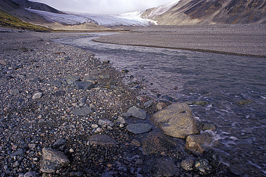 冰河,岬角,格陵兰