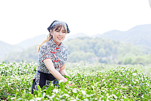 亚洲人,漂亮,女孩,种植园