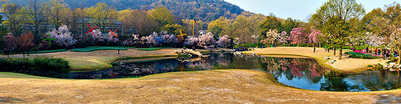 西湖郁金香,太子湾公园