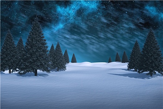 合成效果,图像,白色,雪景,树