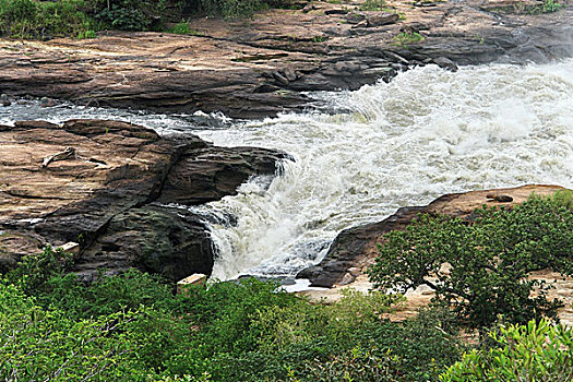 白浪,瀑布,乌干达