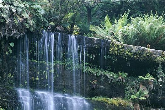 瀑布,山,地点,国家公园,塔斯马尼亚,澳大利亚