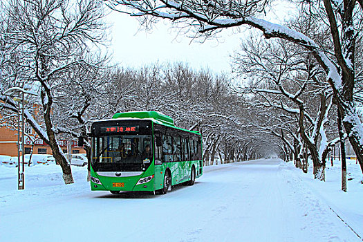 伊宁路雪景