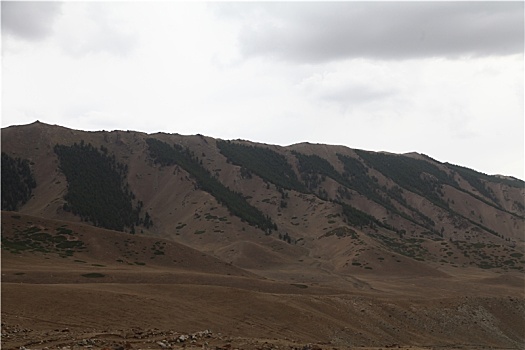 新疆哈密,东天山河谷草原