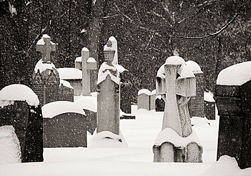 渥太华,加拿大,山毛榉,墓地,积雪,墓碑,雪,落下,年轻,画廊