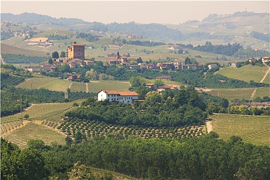 风景,山,葡萄园,意大利北部
