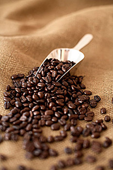舀具,咖啡,咖啡豆