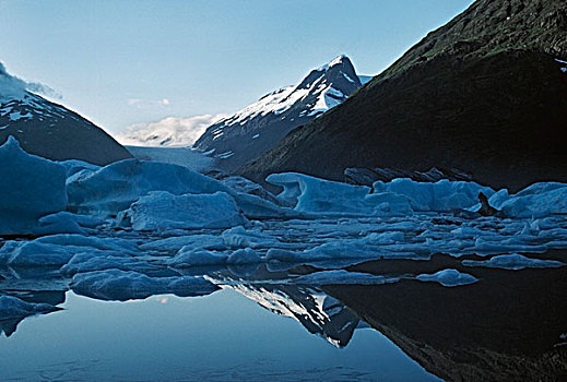 冰山,波蒂奇,湖,冰河,阿拉斯加