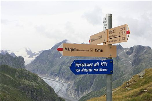 路标,山,瓦莱,瑞士