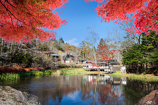 秋色,水塘,轻井泽,长野,日本