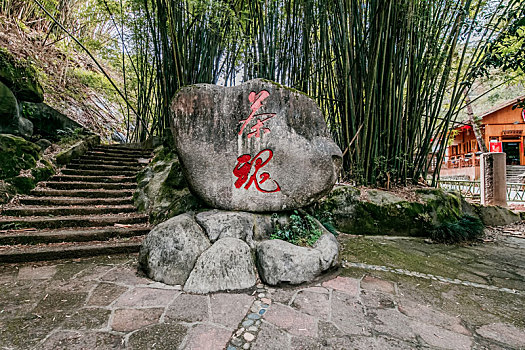 福建省武夷山茶魂石碑建筑竹林环境景观