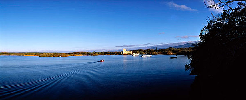 城堡,湖,基拉尼国家公园,爱尔兰