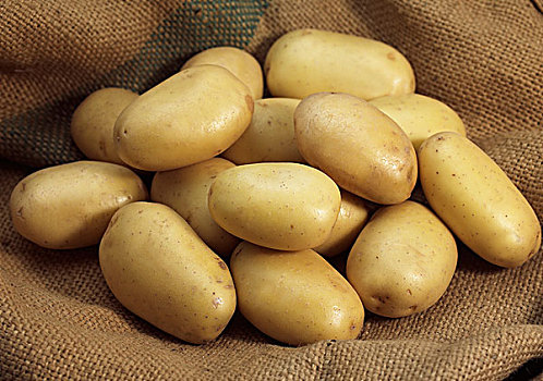 蒙娜丽莎,土豆,马铃薯