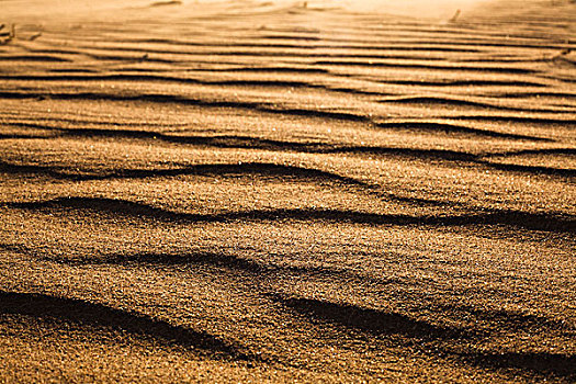 贴地拍摄,沙漠,沙子