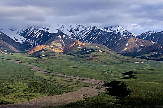 美国,阿拉斯加,德纳里峰国家公园,多彩,区域