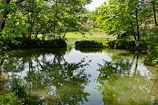 西溪湿地