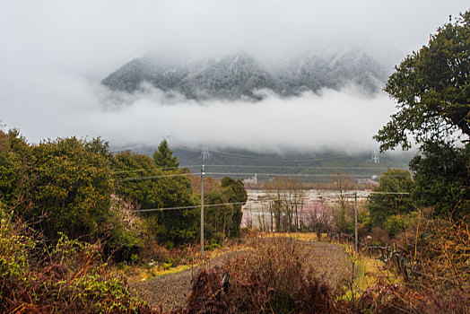 西藏波密桃花谷