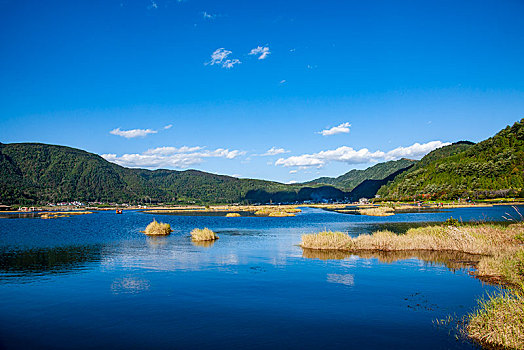 云南省腾冲北海湿地