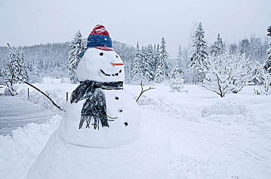 雪人,正面,冬日树林,北安大略,加拿大,肖像权
