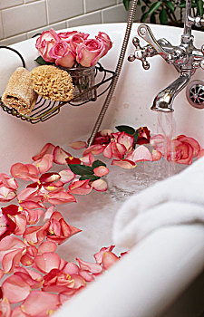 花瓣,漂浮,浴缸