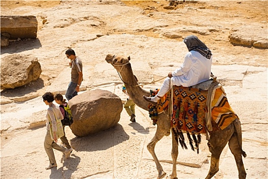 骆驼,引导,旅游