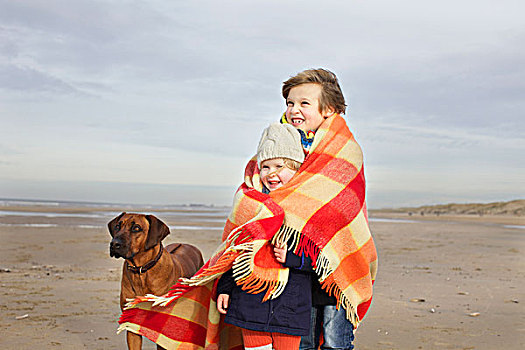 头像,三个,女孩,兄弟,毯子,海滩,荷兰