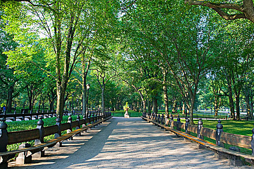 小路,中央公园,纽约,美国