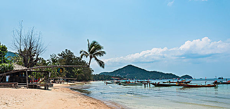 棕榈树,沙滩,船,水中,海滩,蓝绿色海水,龟岛,海湾,泰国,亚洲