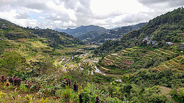 稻米梯田,巴纳韦,吕宋岛,菲律宾