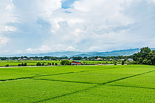 田园乡村