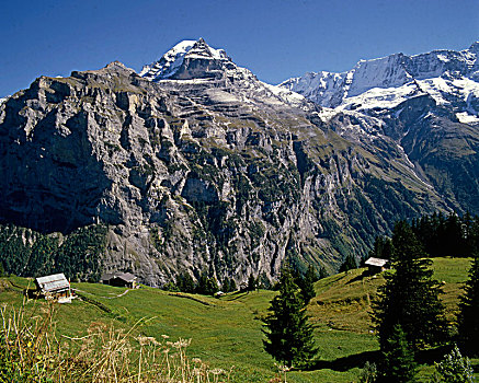 瑞士,阿尔卑斯山,少女峰,风景,穆伦