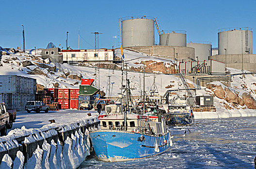 港口,伊路利萨特,格陵兰,北极,北美