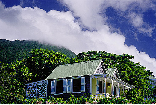 屋舍,叶子,尼维斯岛,西印度群岛