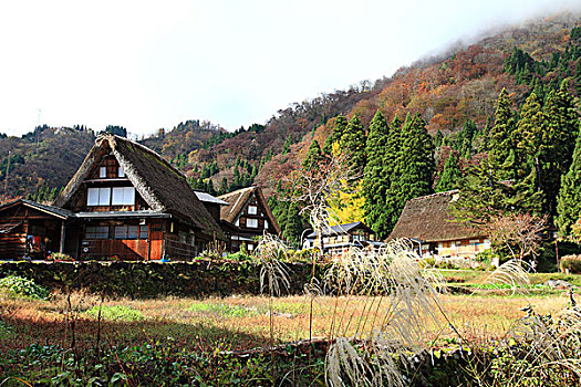 五箇山,房子,乡村