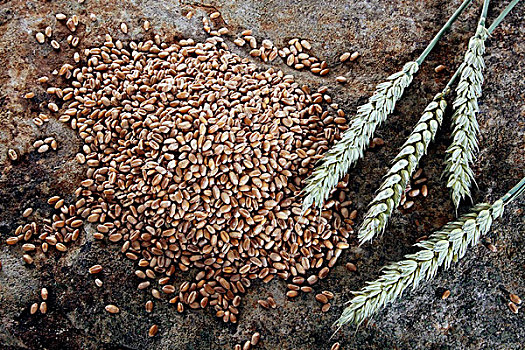 小麦,颗粒,麦穗,石头,石板