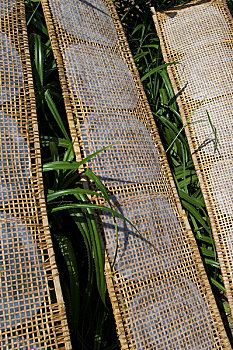 越南,靠近,糯米纸,包装纸,春卷,弄干,竹子,架子