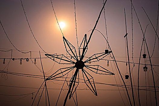 花,星,装饰,空中