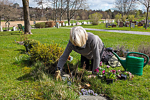 女人,种植,花,墓地