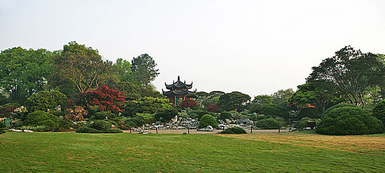 花港观鱼牡丹亭